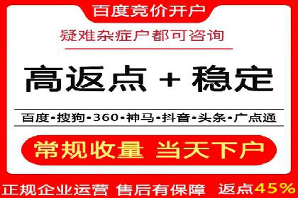 SEM托管代运营案例：打造高效营销体系
